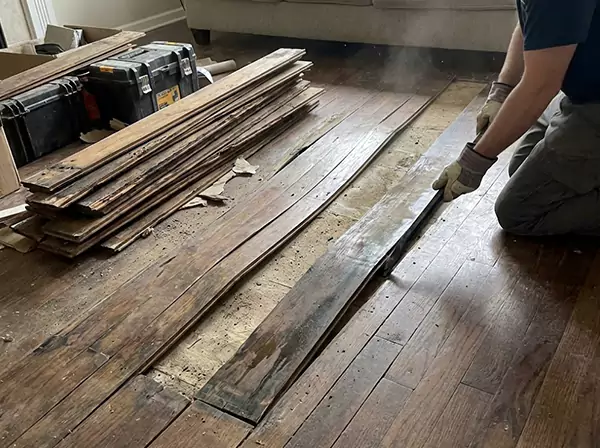 Water Damage Drying in Cumming