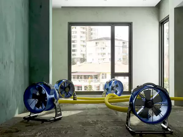 Water Removal Services in Cumming