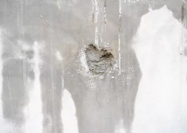 Your Mold Mitigation Solutions Partner in Cumming, GA