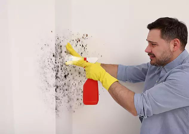 Your Water Mold Fire Restoration Partner in Cumming, GA