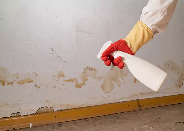 Your Water Restoration and Mold Remediation Specialists in Cumming, GA
