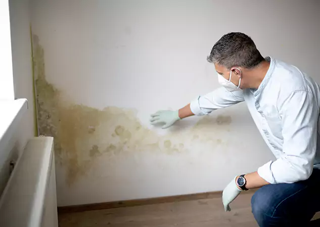 Reach Our Remediation Team Before Damage Grows in Cumming, GA!