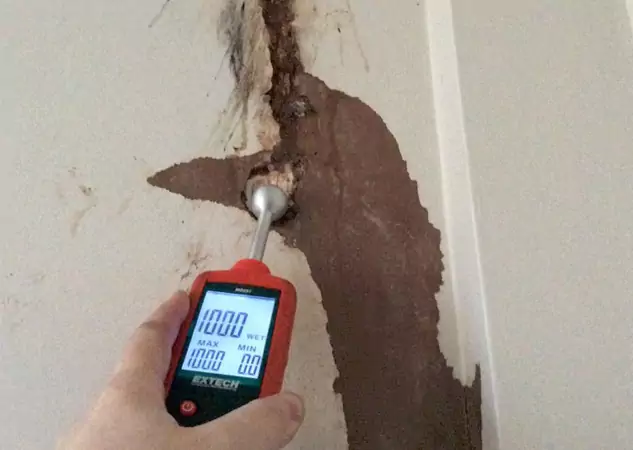 Your Water Damage Assessment Partner in Cumming, GA