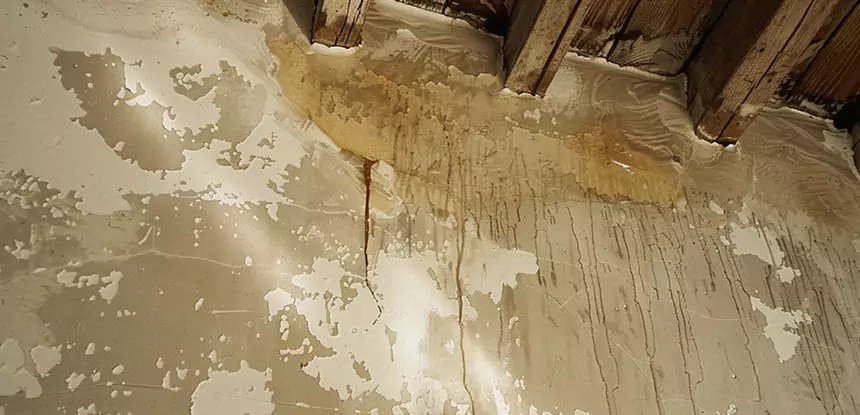 Professional Attic Water Damage Repair Services in Cumming, GA