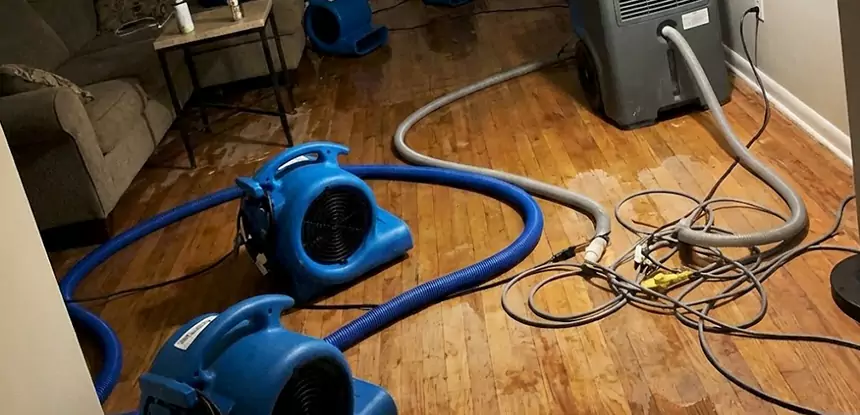 Basement Flood Restoration Services in Cumming