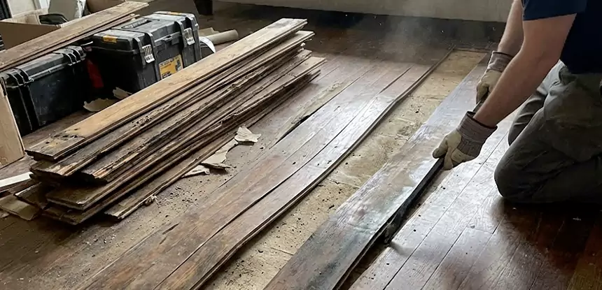 Wood Rot and Fungus Repair in Cumming