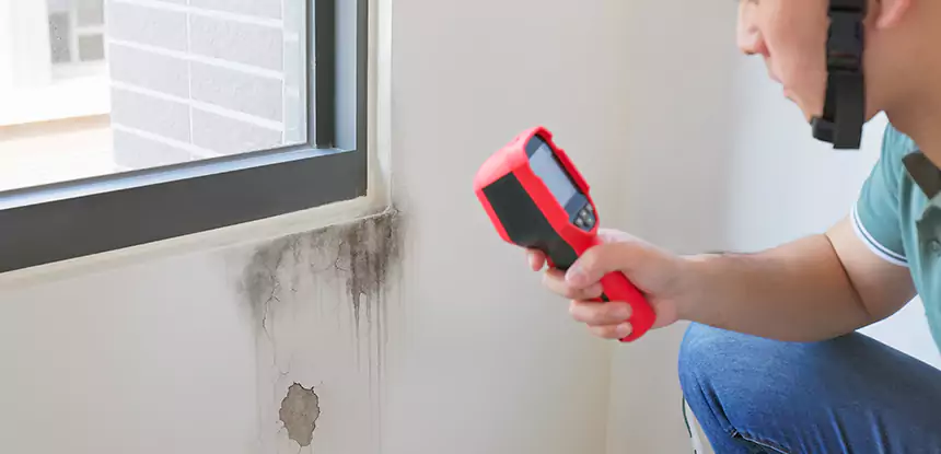 Wall Texture Repair After Mold in Cumming