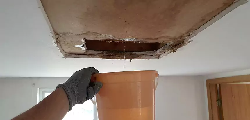 Ceiling Mold Repair Cumming 