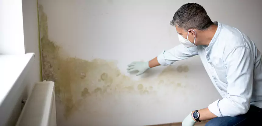Mold and Water Damage Repair in Cumming