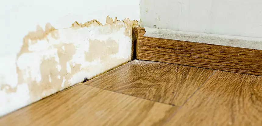 Professional Fix Water Damaged Wood Services in Cumming, GA