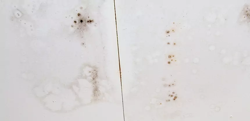 Professional Water Stain Repair Services in Cumming, GA