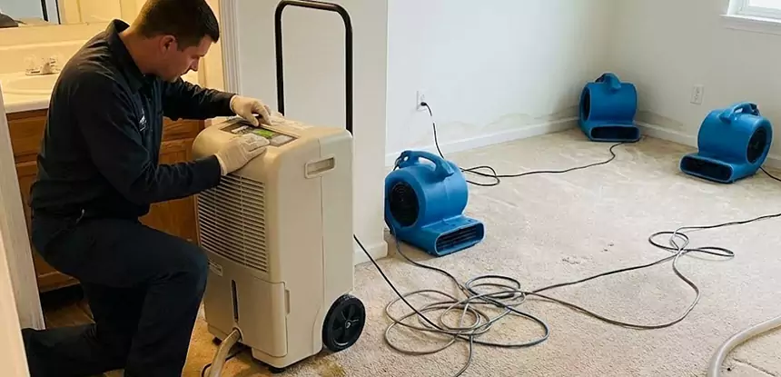 Professional Wet Carpet Removal Services in Cumming, GA