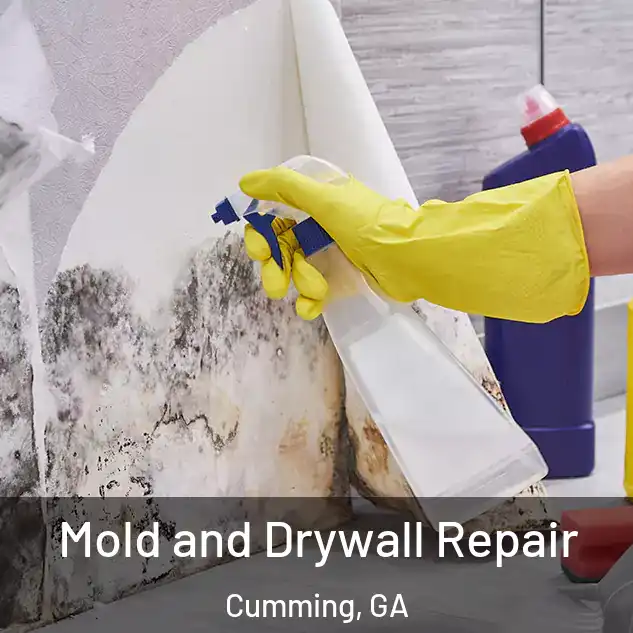  Mold and Drywall Repair Cumming, GA
