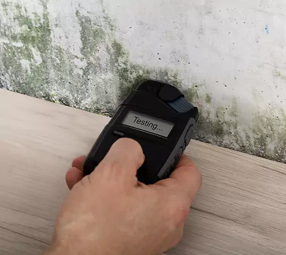 Mold Remediation Service Cumming
